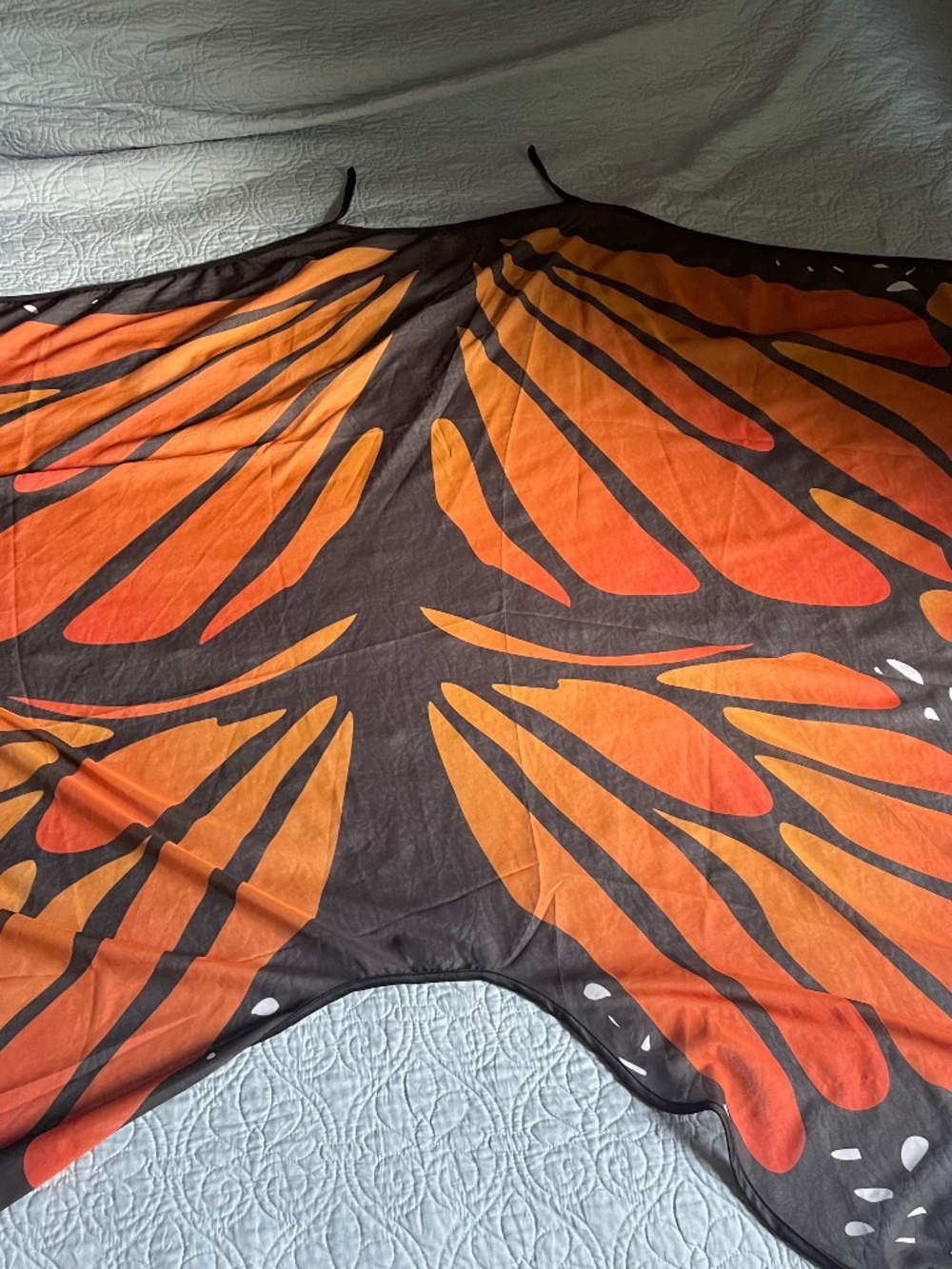 Monarch butterfly cape